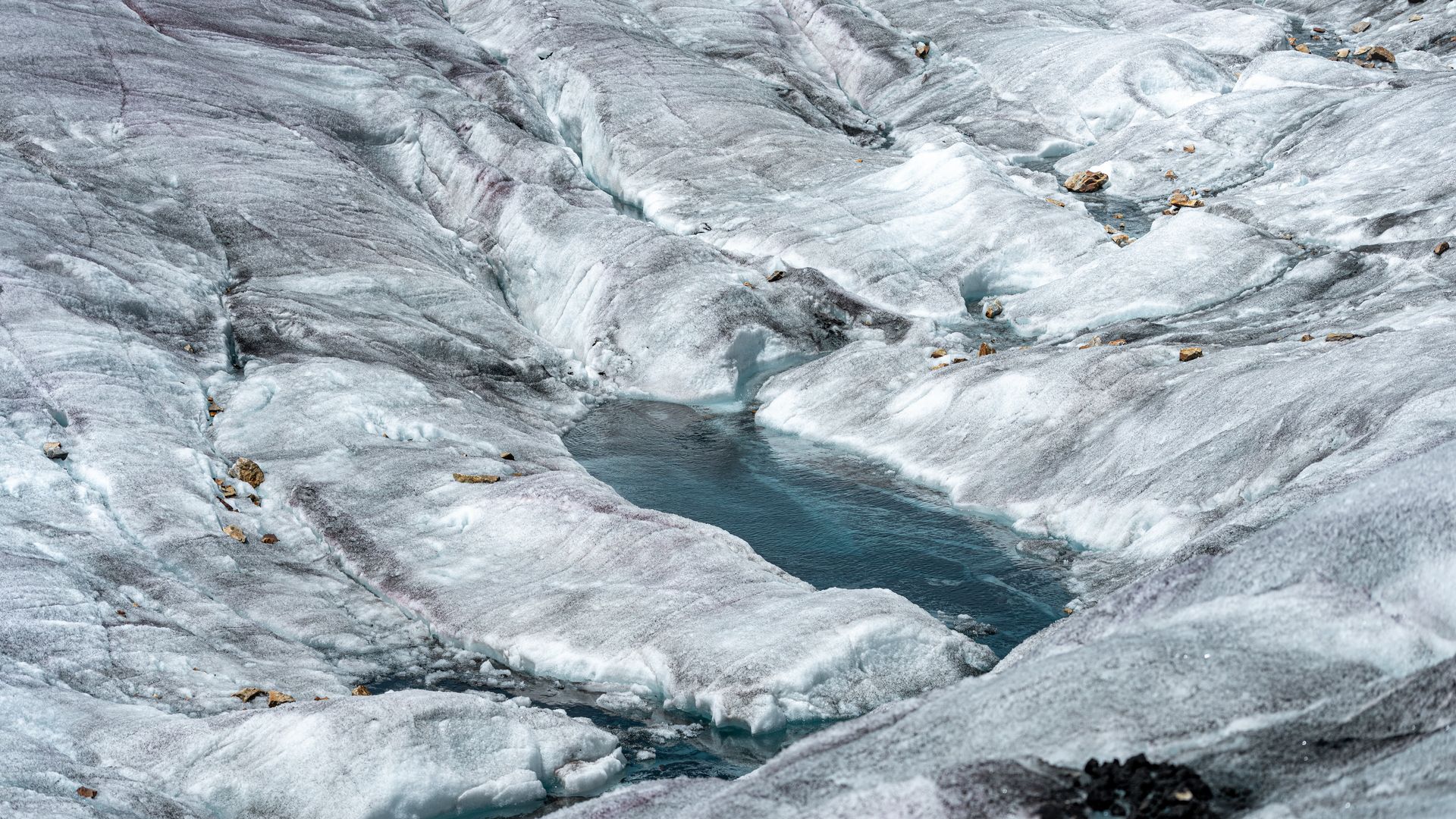 Gletschertour auf dem Grossen Aletschgletscher